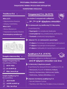 Πρακτική Άσκηση